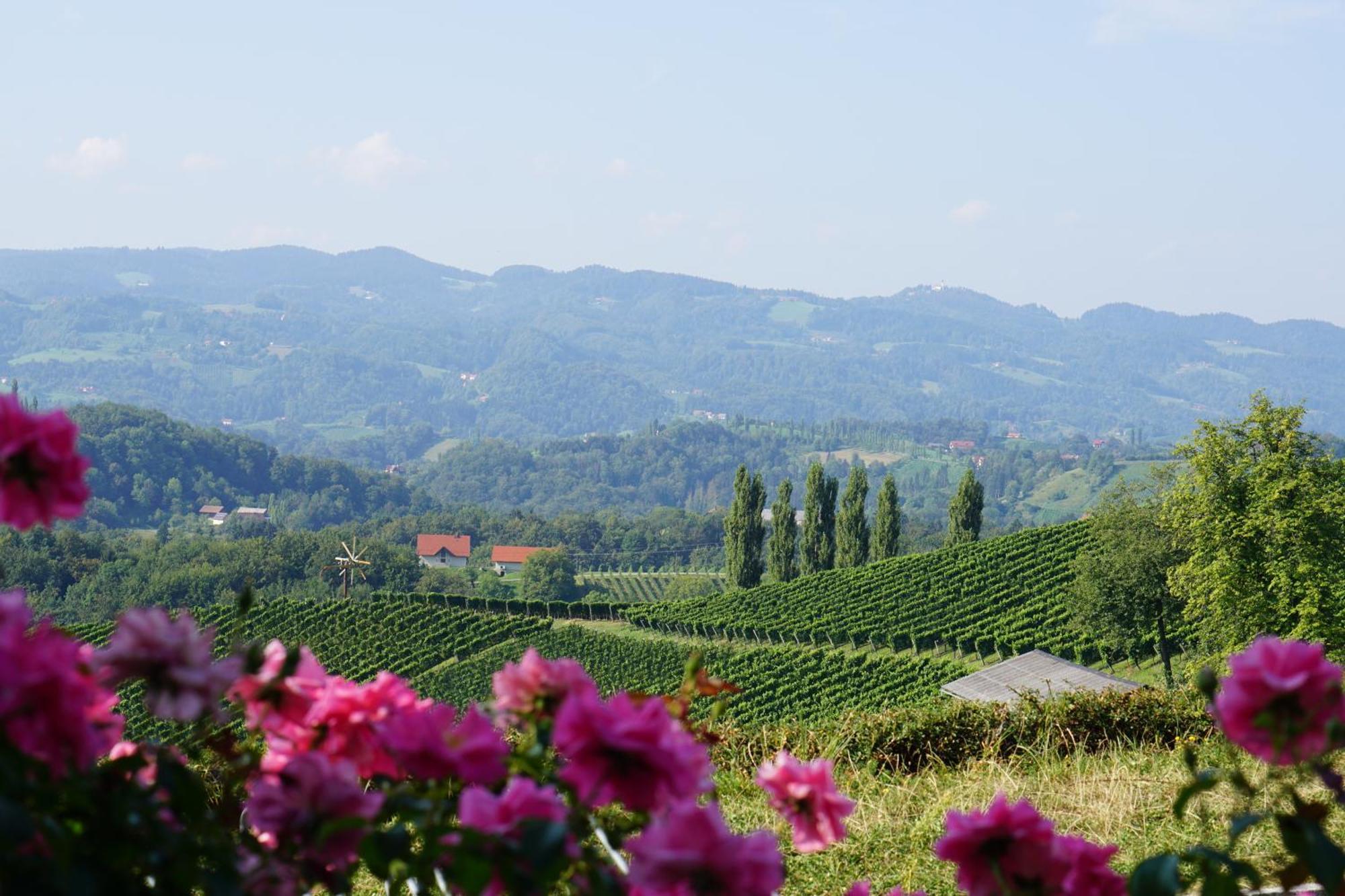 Mahorko Wein Wellness Wasserbueffel Glanz an der Weinstraße Buitenkant foto