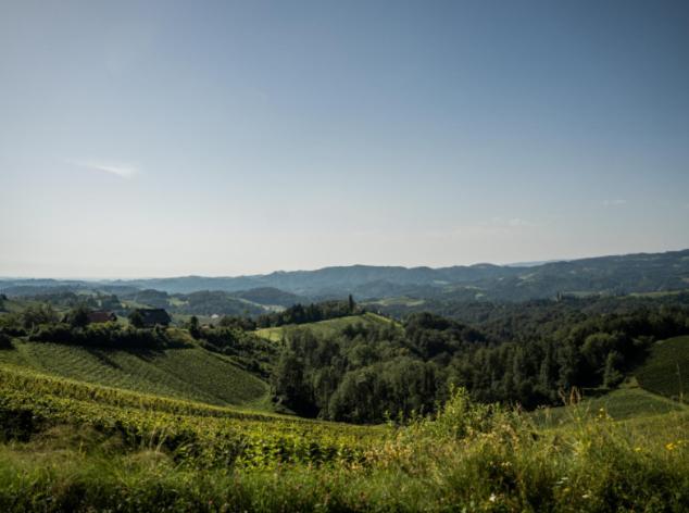 Mahorko Wein Wellness Wasserbueffel Glanz an der Weinstraße Buitenkant foto